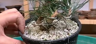 Screenshot_20240511_231301_YouTube.jpg
