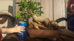 20160729_181853.jpg