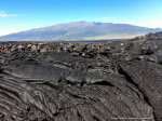 IMG_0285_Wcredit lava.png