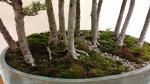 IMG_20160828_150804950.jpg