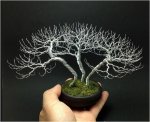 wiretree.JPG