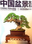 Penjing 4.jpg