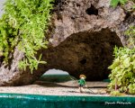 Houston Chinese Bonsai Society Show 2014-015.jpg