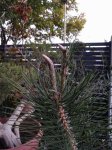 IMG_20170308_202040.jpg
