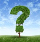 12668152-Information-growth-with-a-tree-in-the-shape-of-a-question-mark-Stock-Photo.jpg