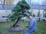 Temple Tree with Dave - small.jpg