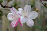 DSC07676-1.jpg