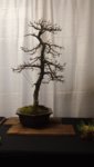 20180414_111003.jpg