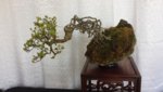 20180414_112601.jpg