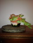 20180707_112541.jpg
