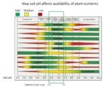 pH related to nutrient uptae.jpg