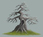 old-tree.png