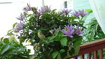 DSC02503.JPG