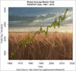 barley2.GIF