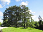 IMG_0152.JPG