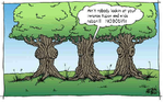 tree-surgery-encinitas-treatment-funny_orig.png