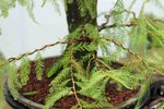 DSC00751-14.jpg