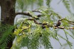 DSC00763-24.jpg