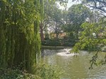 IMG_20190820_131924.jpg