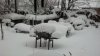 14 inch snow2013-Feb-27.jpg