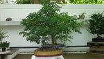 DSC01220.JPG