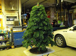 2020_0209xmastree0001.JPG