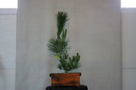 IMG_9504.jpeg