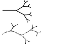 BranchStructure.png