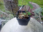 IMG_20200427_183610.jpg