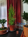 20200502_184026.jpg