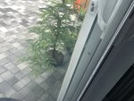 DF015393-A9C2-415E-99BF-3199459BC21B.jpeg