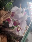 20200808_143719.jpg