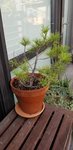 20200906_080809.jpg