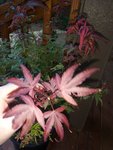 20200906_185612.jpg