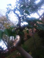 20201013_181847.jpg