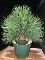 F386BA2E-5208-48AF-98C6-A06ED9B00CEB.jpeg