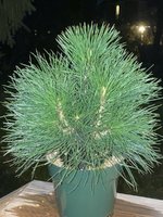 786C0FAA-0570-4693-B6B9-A5D55C3797CB.jpeg