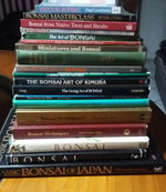 Bonsai Books.jpg