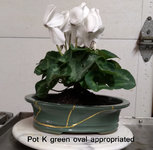 Pot K green oval appropriated.JPG