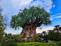 Disney_Animal_Kingdom_Tree-of-Life-Wikipedia-(27589660700).jpg