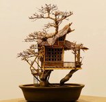 dave-creek-bonsai-treehouses-6.jpg