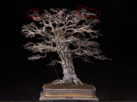 1617623098452.png
