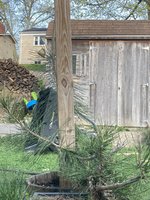 C30607B7-F107-4DD1-BA0C-40B256EDE2FA.jpeg