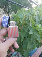 20210526_065343.jpg
