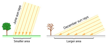 sunlight radiation year.JPG