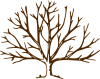 deciduous branch structure.png