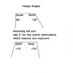 hedge angles.jpg