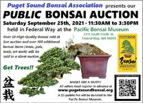 Bonsai-Auction-2021-Postcard rev12(1).jpg