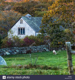 charming-sheep-farm-chilmark-marthas-vineyard-massachusetts-usa-R9E8BX.jpg