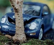 crash-model-car-bonsai-trees.jpg